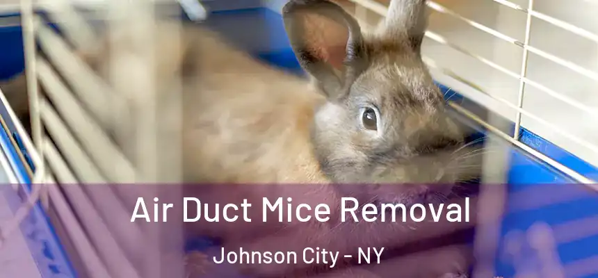  Air Duct Mice Removal Johnson City - NY
