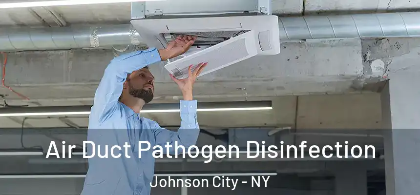 Air Duct Pathogen Disinfection Johnson City - NY