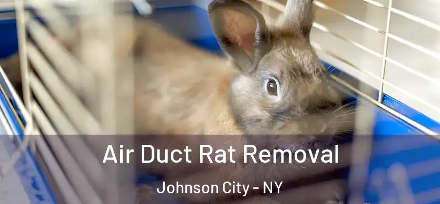  Air Duct Rat Removal Johnson City - NY