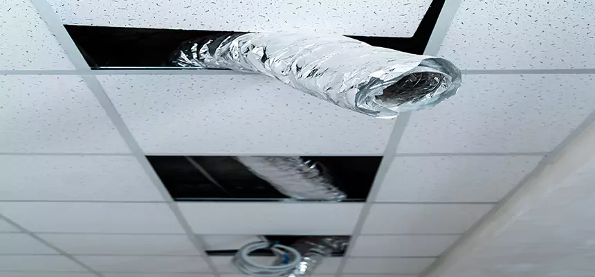 Affordable HVAC Sanitizing After Pest Removal in Johnson City