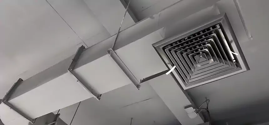 Our Pest Removal From Ducts Services in Johnson City, NY