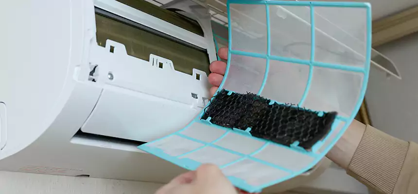 Gentle Ductwork Odor-Control Pet Dander Duct Cleaning in Johnson City, NY