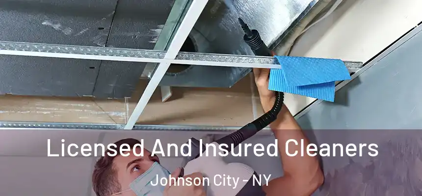  Licensed And Insured Cleaners Johnson City - NY