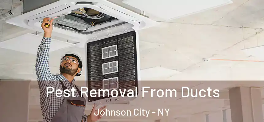  Pest Removal From Ducts Johnson City - NY