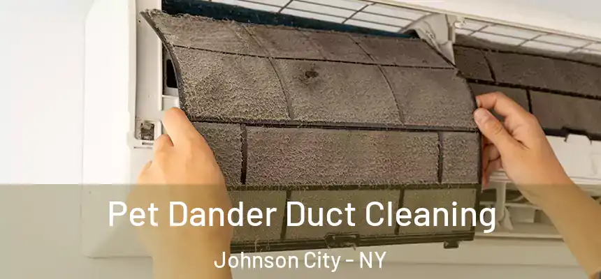 Pet Dander Duct Cleaning Johnson City - NY