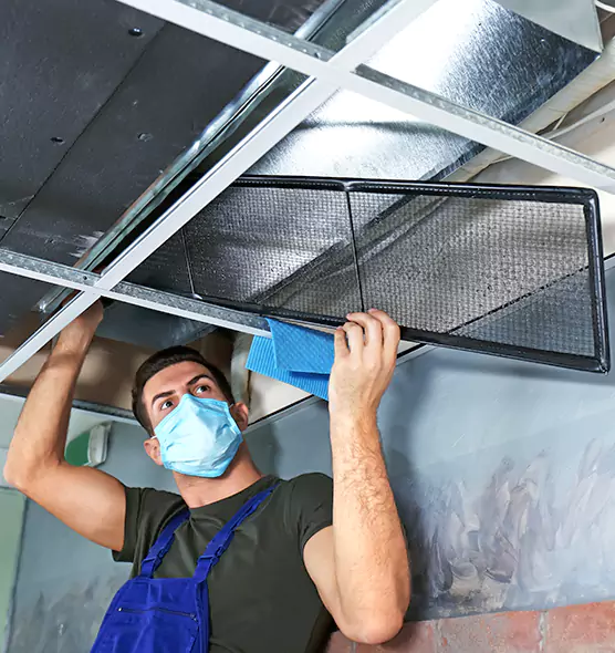 About Air Duct Bacteria Removal in Johnson City