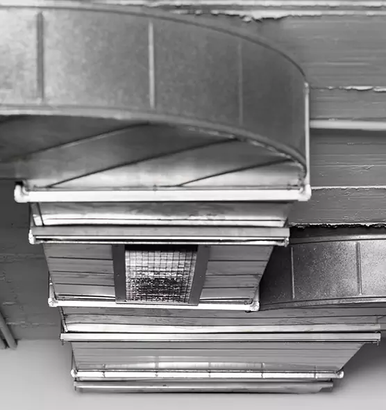 Professional Air Duct Pest Removal in Johnson City, NY