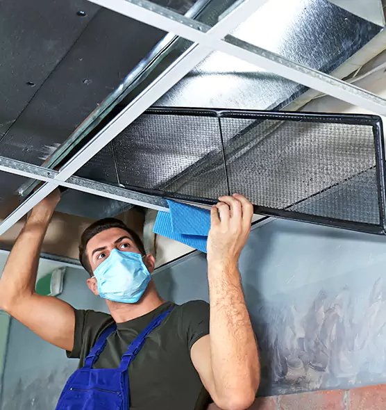 Professional Air Duct Pollen Cleaning in Johnson City, NY