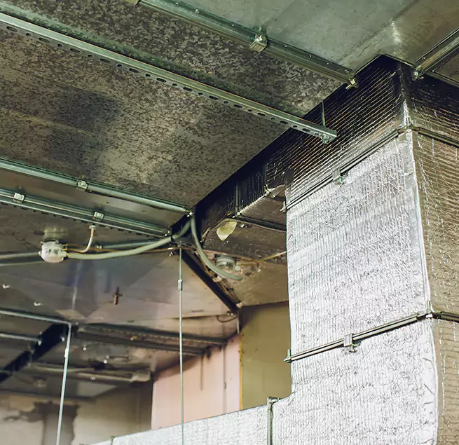 Why Homeowners & Businesses Trust Us in Johnson City, NY?